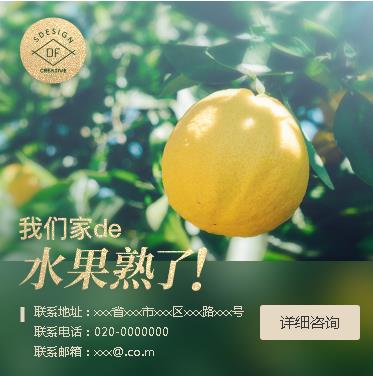 靖边果园果林小程序开发